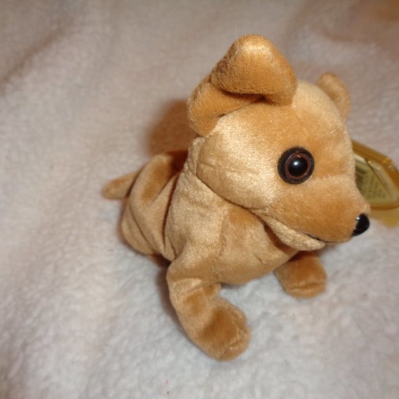 TY Beanie Baby Tiny The Chihuahua - Picture 2 of 11